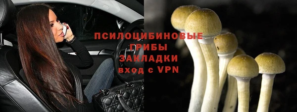 тгк Володарск