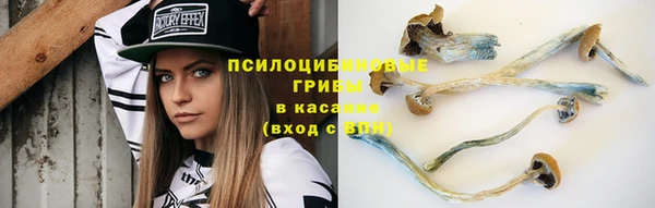 альфа пвп Горно-Алтайск