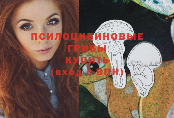 соль ск Горняк